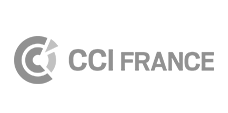 CCI France